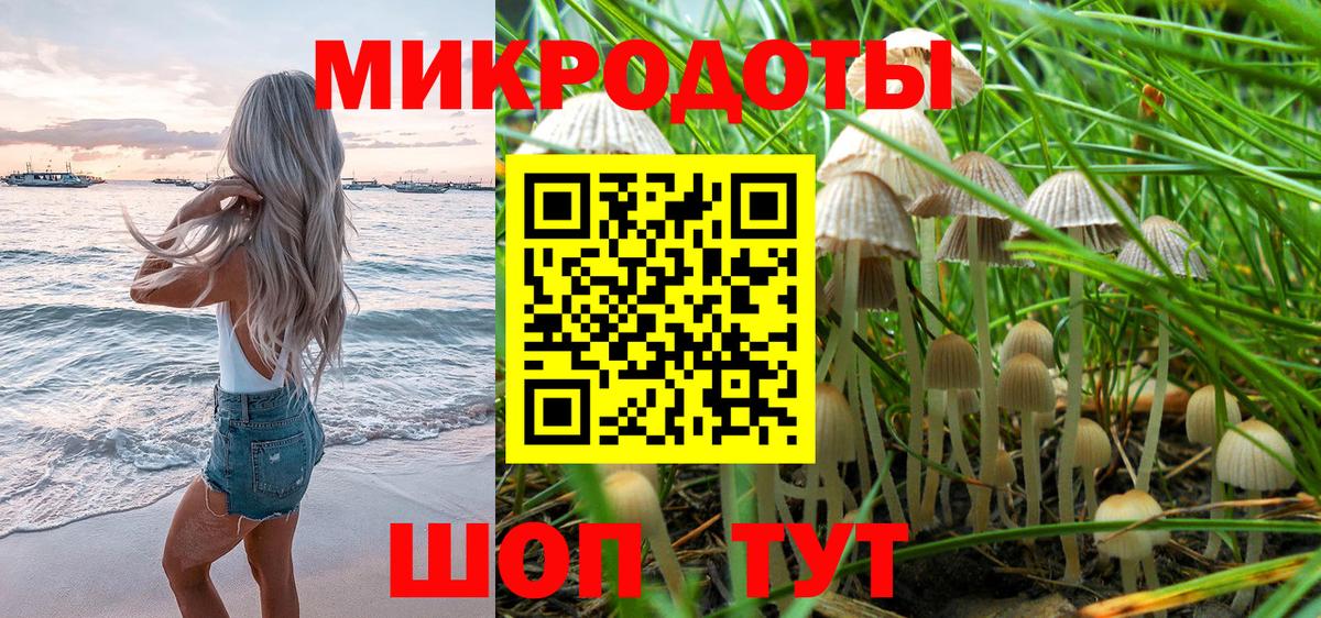 Псилоцибиновые грибы Psilocybine cubensis  Псилоцибиновые грибы MAGIC MUSHROOMS  Вход с VPN  Буйнакск 