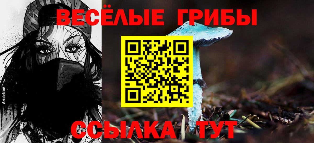 Галлюциногенные грибы MAGIC MUSHROOMS Буйнакск